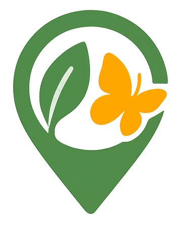 BAM widget BAM widget