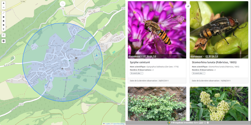 Illustration du dernier article publié